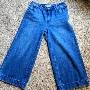 High waisted cropped wide leg